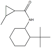 N-(2-tert-butylcyclohexyl)-2-methylcyclopropane-1-carboxamide|