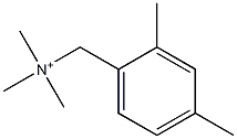 (2,4-dimethylphenyl)methyl-trimethylazanium Struktur