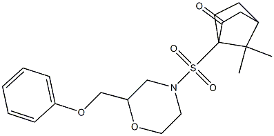 7,7-dimethyl-4-[2-(phenoxymethyl)morpholin-4-yl]sulfonylbicyclo[2.2.1]heptan-3-one,,结构式