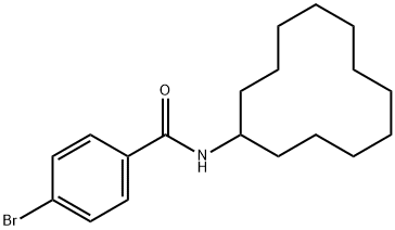 4-bromo-N-cyclododecylbenzamide Struktur