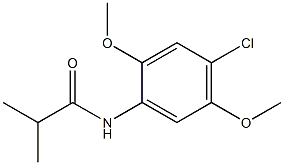 N-(4-chloro-2,5-dimethoxyphenyl)-2-methylpropanamide Struktur