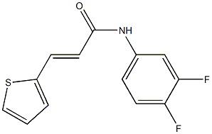 (E)-N-(3,4-difluorophenyl)-3-thiophen-2-ylprop-2-enamide Structure