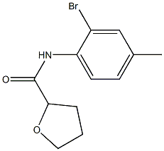 N-(2-bromo-4-methylphenyl)oxolane-2-carboxamide Struktur