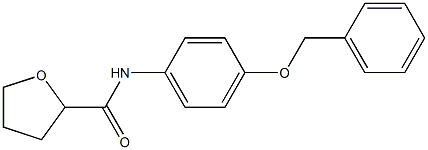 N-(4-phenylmethoxyphenyl)oxolane-2-carboxamide