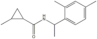 N-[1-(2,4-dimethylphenyl)ethyl]-2-methylcyclopropane-1-carboxamide 结构式