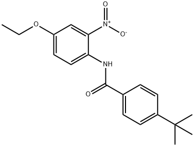 4-tert-butyl-N-(4-ethoxy-2-nitrophenyl)benzamide Struktur