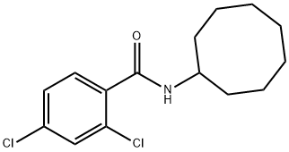 2,4-dichloro-N-cyclooctylbenzamide Structure