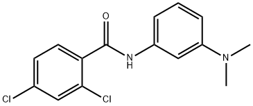 2,4-dichloro-N-[3-(dimethylamino)phenyl]benzamide Structure