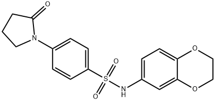 N-(2,3-dihydro-1,4-benzodioxin-6-yl)-4-(2-oxopyrrolidin-1-yl)benzenesulfonamide Structure