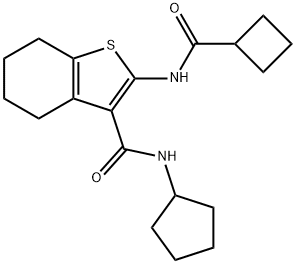 2-(cyclobutanecarbonylamino)-N-cyclopentyl-4,5,6,7-tetrahydro-1-benzothiophene-3-carboxamide Struktur