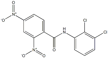 N-(2,3-dichlorophenyl)-2,4-dinitrobenzamide Struktur