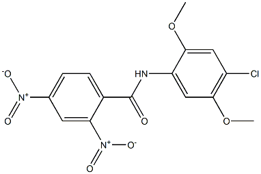 N-(4-chloro-2,5-dimethoxyphenyl)-2,4-dinitrobenzamide 化学構造式