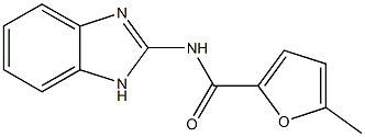 N-(1H-benzimidazol-2-yl)-5-methylfuran-2-carboxamide 化学構造式