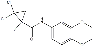 2,2-dichloro-N-(3,4-dimethoxyphenyl)-1-methylcyclopropane-1-carboxamide 化学構造式