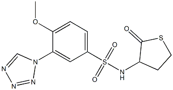 4-methoxy-N-(2-oxothiolan-3-yl)-3-(tetrazol-1-yl)benzenesulfonamide Structure