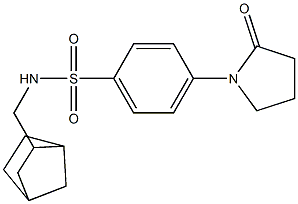 N-(3-bicyclo[2.2.1]heptanylmethyl)-4-(2-oxopyrrolidin-1-yl)benzenesulfonamide 化学構造式