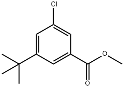 3-CHLORO-5-TERT-BUTYL-METHYL BENZOATE Struktur
