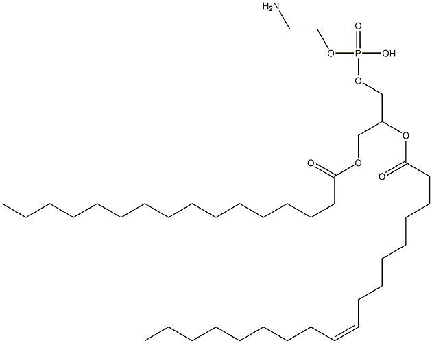 1-palmitoyl-2-oleoylphosphatidylethanolamine, 10015-88-0, 结构式