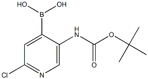 5-(tert-butoxycarbonylamino)-2-chloropyridin-4-ylboronic acid|5-丁氧基羰基氨基-2-氯吡啶-4-基硼酸