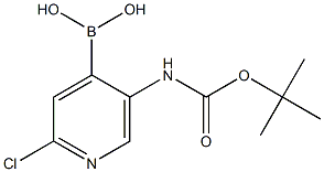 5-丁氧基羰基氨基-2-氯吡啶-4-基硼酸 结构式