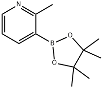 2-METHYLPYRIDINE-3-BORONIC ACID PINACOL ESTER|2-甲基吡啶-3-硼酸频哪醇酯