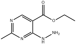 5-Pyrimidinecarboxylicacid,4-hydrazino-2-methyl-,ethylester(6CI,9CI),101251-42-7,结构式