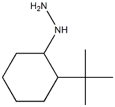 1016699-82-3 1-(2-tert-butylcyclohexyl)hydrazine