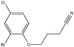 4-(2-bromo-4-chlorophenoxy)butanenitrile Structure