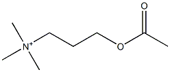 acetylhomocholine 结构式