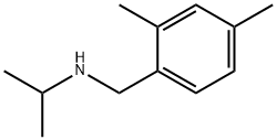 [(2,4-dimethylphenyl)methyl](propan-2-yl)amine Structure