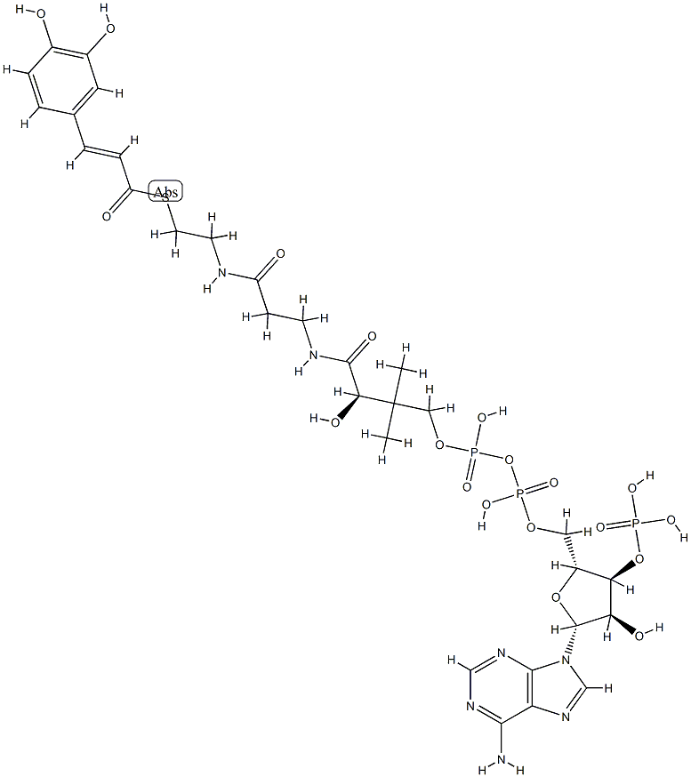 trans-caffeoyl-CoA