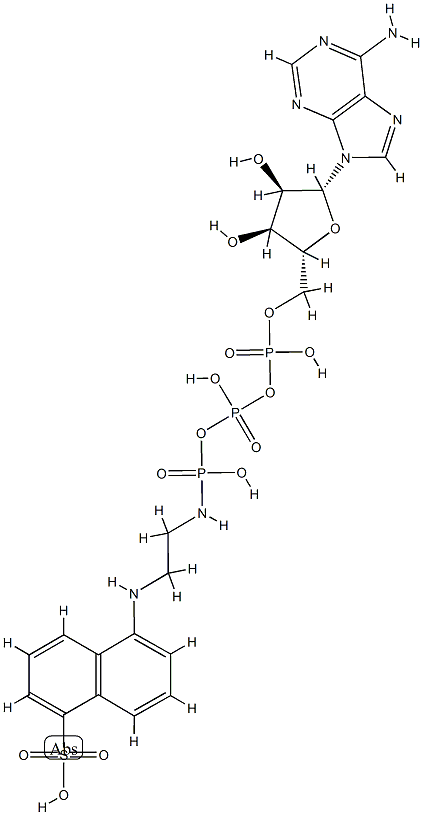 adenosine-5'-triphosphoro-gamma-1-(5-sulfonic acid)naphthyl ethylamidate,102415-55-4,结构式