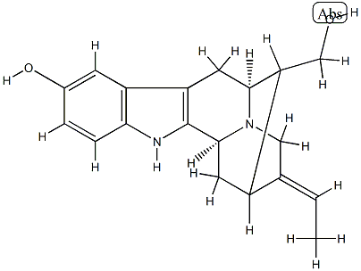 16-episarpagine Struktur