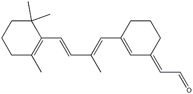 retinal 6.11 Structure