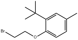 1-(2-bromoethoxy)-2-tert-butyl-4-methylbenzene Struktur