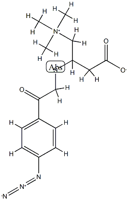 4-아지도펜아세틸티오카르니틴