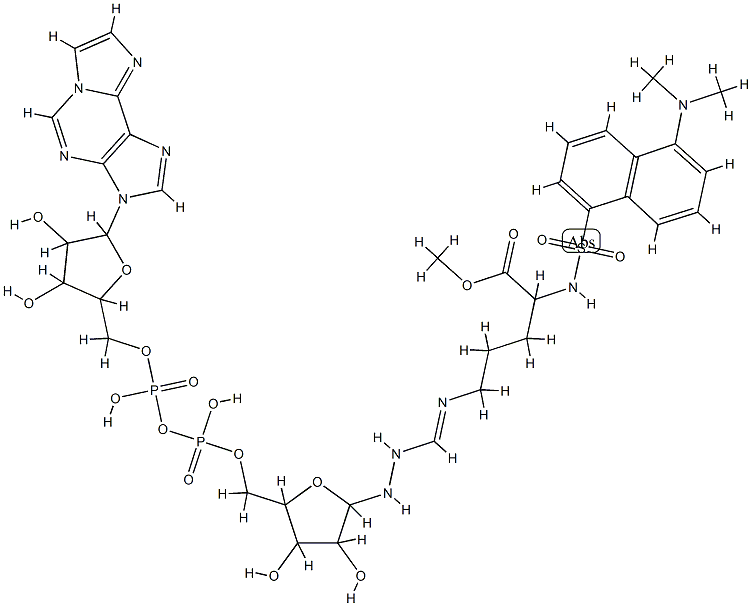 N(알파)-단실-N(오메가)-1,N(6)-에테노-ADP-리보실아르기닌메틸에스테르