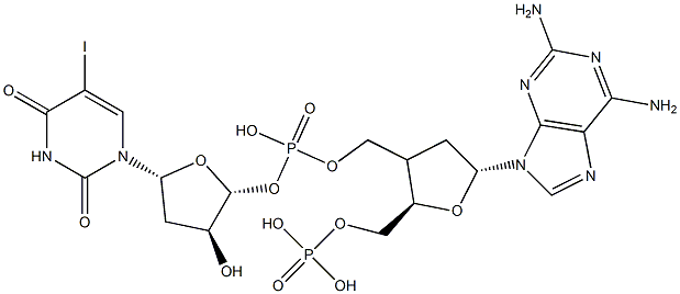 poly(2-aminodeoxyadenylate-5-iododeoxyuridylate) 化学構造式