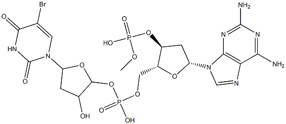 poly(2-aminodeoxyadenylate-5-bromodeoxyuridylate)|