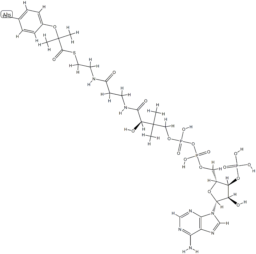 clofibric acid-coenzyme A,104732-21-0,结构式