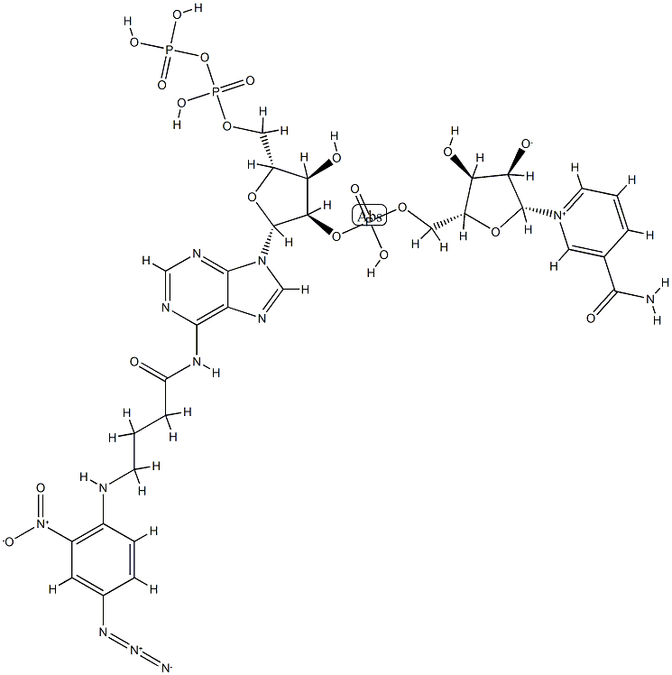 N-4-azido-2-nitrophenyl aminobutyryl NADP Struktur