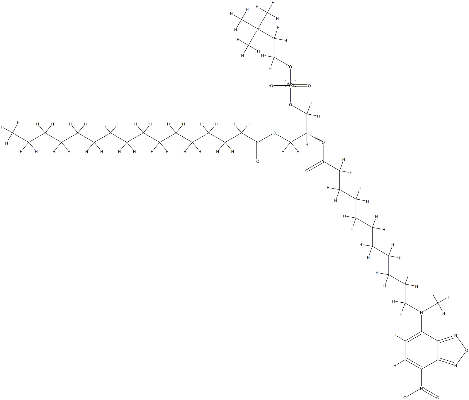1-palmitoyl-2-(12-((7-nitro-2,1,3-benzoxadiazol-4-yl)amino)dodecanoyl)phosphatidylcholine Struktur