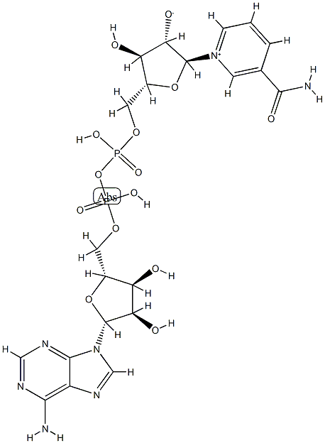 nicotinamide arabinoside adenine dinucleotide|