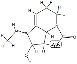  化学構造式