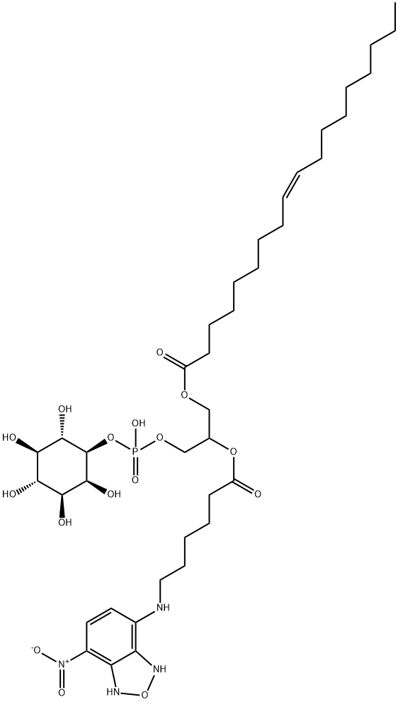 1,2-(oleoyl)-N-(6-((7-nitrobenz-2-oxa-1,3-diazo-4-yl)aminocaproyl))phosphatidylinositol 化学構造式