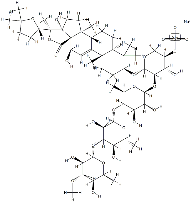 HOLOTHURIN FROM ACTINOPYGA AGASSIZI Struktur