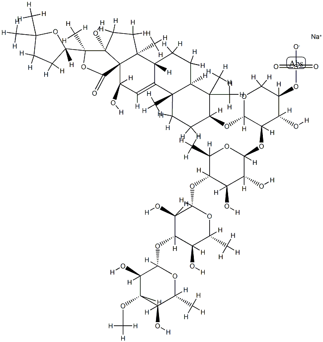 HOLOTHURIN FROM ACTINOPYGA AGASSIZI|海参提取物,海参素