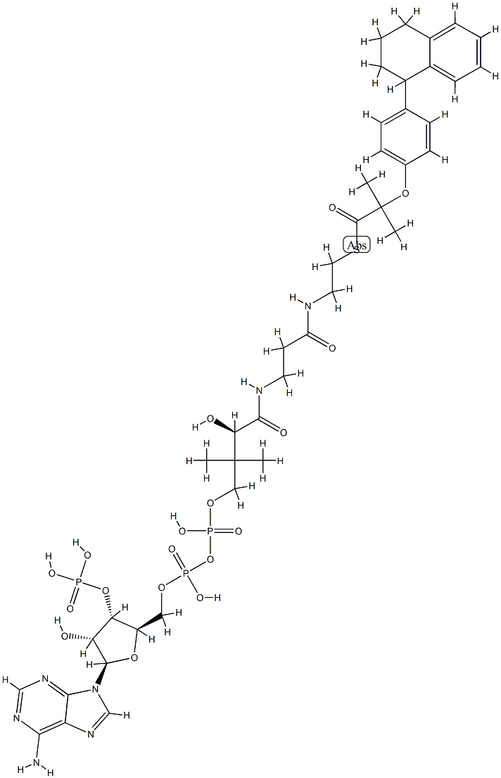 nafenopin-coenzyme A Struktur