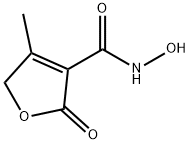 3-Furancarboxamide,2,5-dihydro-N-hydroxy-4-methyl-2-oxo-(9CI) Struktur