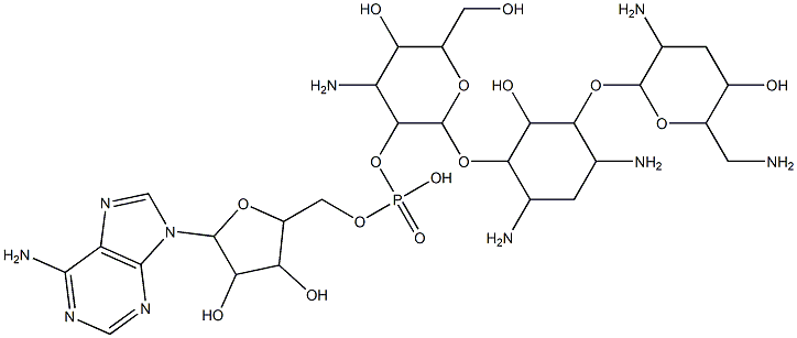 2''-(adenosine-5'-phosphoryl)tobramycin,114550-26-4,结构式